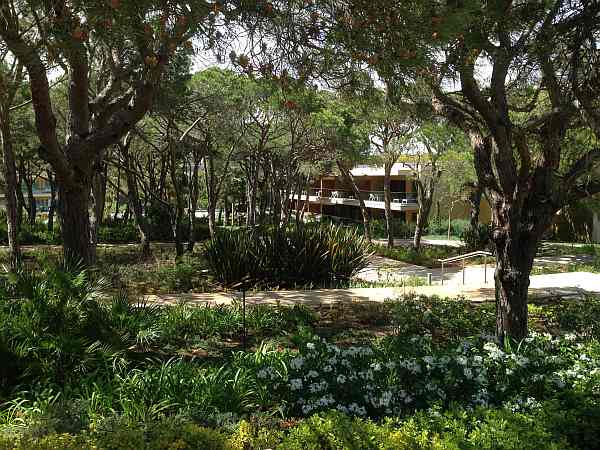 Epic Sana Algarve, a touch of Portuguese luxury - Natural surroundings, very calming