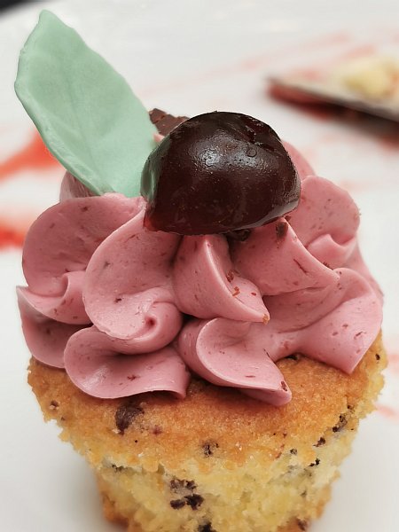 Chocolate Chip Cupcake