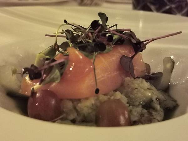 warm salmon