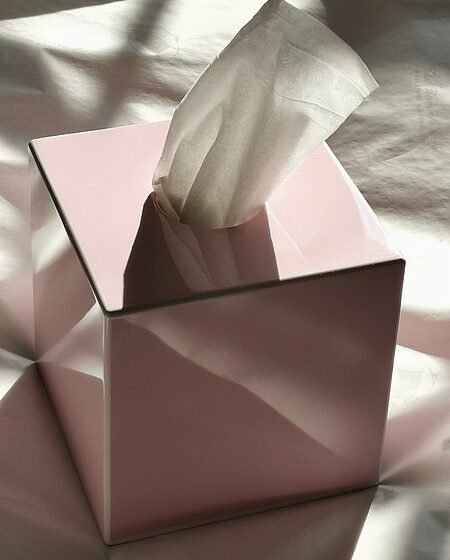 Addison Ross Pink Tissue Box - Gleaming in the sun