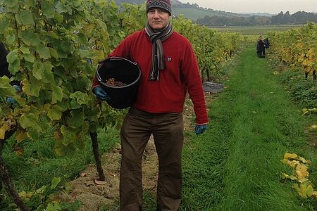 Denbies