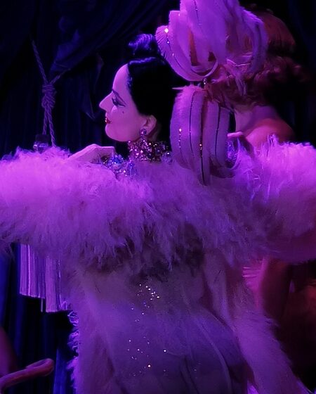 Dita Von Teese in a glorious pink corset in Diamonds and Dust