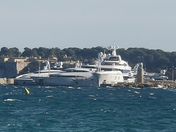 Yachts in Cannes